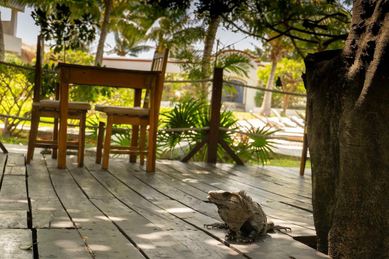 Marina Paraiso Isla Mujeres Hotel Екстер'єр фото